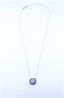 Halskette Dame in Silber Zircone FGCO00587